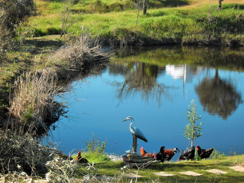 Monte Da Courela Otel Malarranha Dış mekan fotoğraf