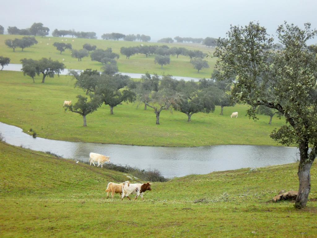 Monte Da Courela Otel Malarranha Dış mekan fotoğraf