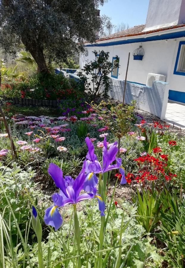 Monte Da Courela Otel Malarranha Dış mekan fotoğraf